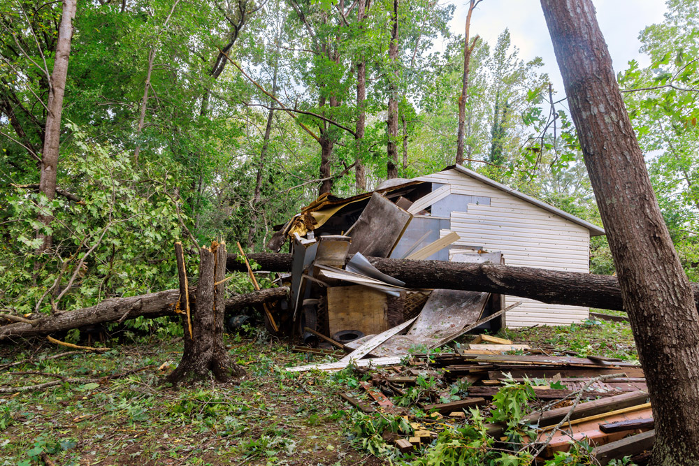 Hurricane Debris Removal